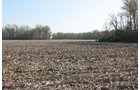 Property photo 23 - 641 Acres Offered in 16 Tracts - 545 Cropland Acres